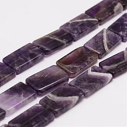 Amethyst Natural Amethyst Beads Strands, Rectangle, 20x12.5x3.5mm, Hole: 1mm, about 20pcs/strand, 17 inch