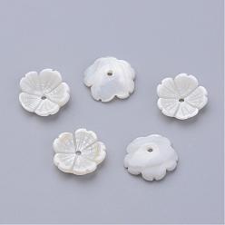 Creamy White Natural Freshwater Shell Beads, Flower, Creamy White, 12x12.5x3mm, Hole: 1mm