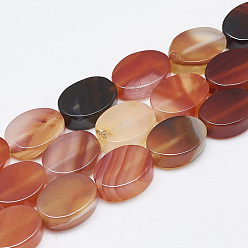 Red Agate Natural Red Agate Beads Strands, Oval, 14~15x10~11x5mm, Hole: 1mm, about 28pcs/strand, 15.3 inch~16.1 inch