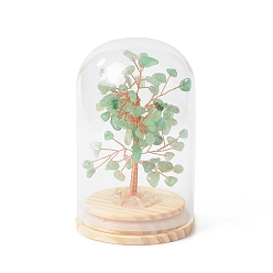 Green Aventurine Natural Green Aventurine Chips Money Tree in Dome Glass Bell Jars with Wood Base Display Decorations, for Home Office Decor Good Luck, 71x114mm