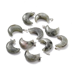 Labradorite Natural Labradorite Pendants, with Platinum Brass Loops, Moon, 29x18~21x7~10mm, Hole: 6x3mm