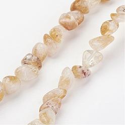 Citrine Natural Citrine Bead Strands, Nuggets, 8~15x4~8mm, Hole: 1mm, about 40~50pcs/strand, 14.5 inch(37cm)