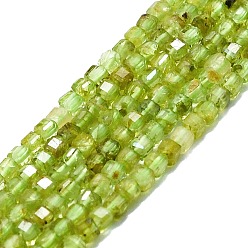 Péridot Péridot naturelles brins de perles, facette, cube, 2x2x2mm, Trou: 0.6mm, Environ 182 pcs/chapelet, 15.16''~15.55'' (38.5~39.5 cm)