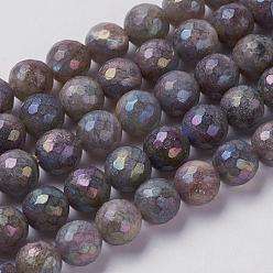 Labradorite Natural Labradorite Beads Strands, Faceted, Round, 6mm, Hole: 1mm, about 65pcs/strand, 14.9 inch