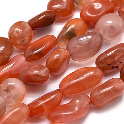 Natural Agate Natural South Red Agate Beads Strands, Tumbled Stone, Nuggets, 8~13x7~8x5~6mm, Hole: 0.6mm, about 43pcs/Strand, 15.75 inch(40cm)