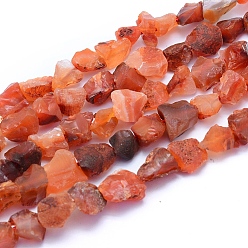 Carnelian Raw Rough Natural Carnelian Beads Strands, Dyed & Heated, Nuggets, 6~12x6~10x5~8mm, Hole: 0.7mm, about 48pcs/strand, 15.75 inch(40cm)