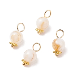 Old Lace Natural Freshwater Shell Charms, with Golden Tone Alloy & Brass Findings, Round, Old Lace, 12.5x6mm, Hole: 3mm