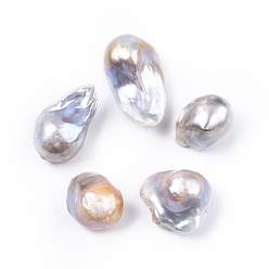 Color de la concha Perlas de keshi barrocas naturales, cuentas de perlas de agua dulce, ningún agujero, pepitas, color de concha, 24~38x19~22x15~17 mm
