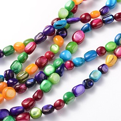 Couleur Mélangete Chapelets de perles de coquillage naturel, teint, amorphe, couleur mixte, 5~10x4~9x5mm, Trou: 0.7~0.9mm, 47 pcs / chapelet, 15 pouce