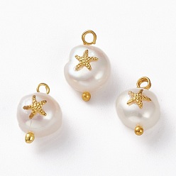 Golden Natural Keshi Pearl Pendants, with Alloy Cabochons and Brass Loops, Nuggets with Starfish, Golden, 13~16x8~9x5~8mm, Hole: 2mm