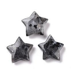 Labradorite Perles naturelles de labradorite, sans trou, étoiles, 24x25x8mm