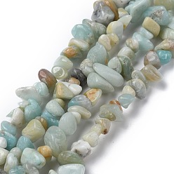 Flower Amazonite Brins de perles de copeaux d'amazonite de fleurs naturelles, 5~8x5~8mm, Trou: 1mm, environ 31.5 pouce