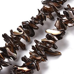Coconut Brown Natural Trochid Shell Beads Strands, Chip, Coconut Brown, 2~11x22~25x5~8mm, Hole: 0.8mm, about 93~148pcs/strand, 14.57~15.94 inch(37~40.5cm)