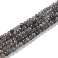Labradorite Natural Labradorite Beads Strands, Round, 4~4.5mm, Hole: 0.7mm, 15.43''(39.2cm), 97pcs/strand
