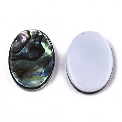 Colorful Natural Abalone Shell/Paua Shell Cabochons, with Freshwater Shell, Oval, Colorful, 14x10x3mm