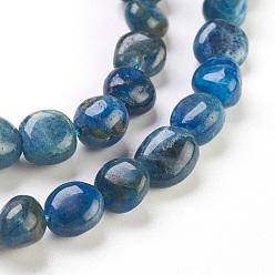 Apatite Natural Apatite Beads Strands, Tumbled Stone, Nuggets, 6~10x5~9mm, Hole: 0.8mm, about 49pcs/strand, 15.7 inch(40cm)