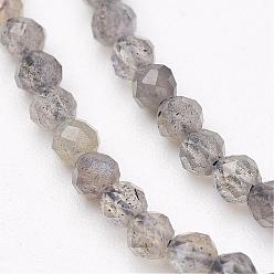 Labradorite Natural Labradorite Bead Strands, Faceted, Round, 3mm, Hole: 0.5mm, about 149pcs/strand, 15.5 inch