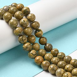 Pierre Précieuse Naturelle Brins de perles en pierre verdite naturelle, classe ab, ronde, 8mm, Trou: 1mm, Environ 51 pcs/chapelet, 16.14'' (41 cm)
