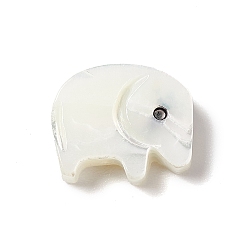 White Shell Natural White Shell Beads, Elephant, 11x10x3mm, Hole: 1mm