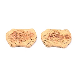 Resina Cabuchones de resina, fósil de dinosaurio de simulación, pescado, 34x23x3.5 mm
