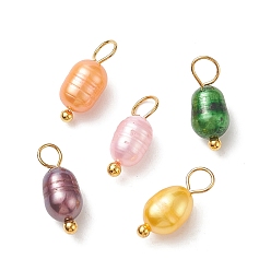 Golden Dyed Natural Cultured Freshwater Pearl Rice Charms, with Brass Ball Head Pins, Mixed Color, Golden, 13x5mm, Hole: 3.2mm