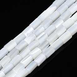 Blanco Cuentas de concha de perla natural hebras, columna, blanco, 4~5x3~3.5 mm, agujero: 0.9 mm, sobre 77~78 unidades / cadena, 15.55 pulgada ~ 15.75 pulgada (39.5~40 cm)
