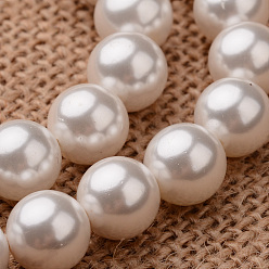 Seashell Color Polished Round Grade A Shell Pearl Bead Strands, Seashell Color, 10mm, Hole: 1mm, about 37~39pcs/strand, 15.7 inch