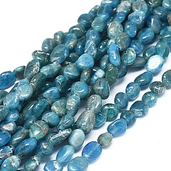 Apatite Natural Apatite Beads Strands, Nuggets, 6~10x5~7x3~4.5mm, hole: 0.7mm, about 55pcs/Strand, 15.94 inch(40.5cm)