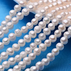 Color de la concha Hebras de perlas de perlas de agua dulce cultivadas naturales de papa, color de concha, 7~8 mm, agujero: 0.8 mm, sobre 53~58 unidades / cadena, 13.5 pulgada ~ 14.9 pulgada