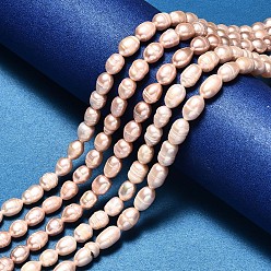 Blanc Navajo Brins de perles de culture d'eau douce naturelles ovales, navajo blanc, 8~10x7~8mm, Trou: 0.8mm, Environ 38~40 pcs/chapelet, 14.17 pouce (36 cm)