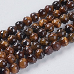 Œil De Tigre Chapelets de perles oeil de tigre naturelles, classe ab, ronde, 6mm, Trou: 0.8mm