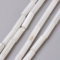 Blanco Cuentas de concha de agua dulce hebras, columna, blanco, 13x4 mm, agujero: 0.5~1 mm, sobre 30 unidades / cadena, 15 pulgada (38.1 cm)