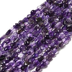 Amethyst Natural Amethyst Beads Strands, Nuggets, 8~14x6~8x4~8mm, Hole: 1mm, about 46~48pcs/strand, 39~39.5cm