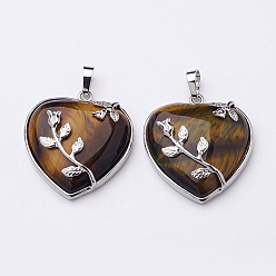Tiger Eye Heart Natural Tiger Eye Pendants, with Platinum Plated Brass Pendant Settings, 36x31~33mm, Hole: 6mm