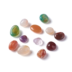 Многоцветный Агат Натуральные многоцветные агатовые бусы, упавший камень, драгоценные камни наполнителя вазы, нет отверстий / незавершенного, самородки, окрашенные, 6~18x6~10x3~8 мм