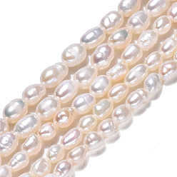 Coquillage De Mer Brins de perles de culture d'eau douce naturelles, riz, couleur de coquillage, 4~7.5x3~4mm, Trou: 0.6mm, Environ 63~64 pcs/chapelet, 13.58 pouce (34.5 cm)