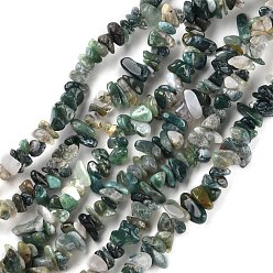 Moss Agate Natural Moss Agate Beads Strands, Chip, 1.5~4.5x3~13x2.5~8mm, Hole: 0.6mm, 30.94~31.97 inch(78.6~81.2cm)