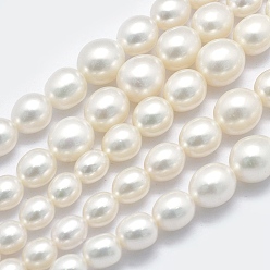 Blanc Fumé Brins de perles de culture d'eau douce naturelles, Diplômé, fumée blanche, 5~12x4~9mm, Trou: 0.8mm, Environ 62 pcs/chapelet, 15.7 pouce