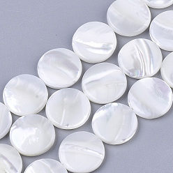 Creamy White Trochus Shell Beads Strands, Flat Round, Creamy White, 15x3mm, Hole: 1mm, about 25~27pcs/Strand, 15.16 inch~15.75 inch