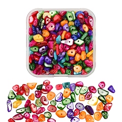 Colorful Natural Dyed Shell Beads, Chip, Colorful, 5~14x5~10mm, Hole: 1mm, 70g/box