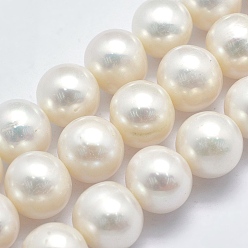 Beige Natural Cultured Freshwater Pearl Beads Strands, Round, Beige, 11~12mm, Hole: 0.8mm, about 38pcs/strand, 15.9 inch