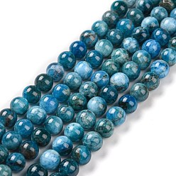 Apatite Natural Apatite Beads Strands, Grade AB, Round, 8mm, Hole: 1mm, about 25~26pcs/strand, 7.68 inch
