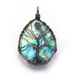 Red Copper Abalone Shell/Paua ShellWire Wrapped Big Pendants, with Brass Findings, teardrop, with Tree, Red Copper, 55.5~57.5x34.5~35.5x7.5~9.5mm, Hole: 4.5x5.5mm