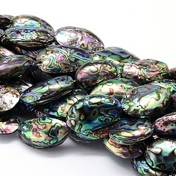 Colorful Natural Paua Shell Beads Strands, Oval, Colorful, 29~39x17~20x10~12mm, Hole: 1mm, about 10pcs/strand, 15.3 inch.