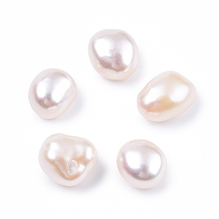 Coquillage De Mer Perles de keshi baroques naturelles, eau douce perles de nacre, sans trou, nuggets, couleur de coquillage, 8~10x7.5x7.5mm