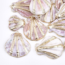 Seashell Color Electroplate Sea Shell Pendants, with Iron Findings, Light Gold, Seashell Color, 33~47x27~43x10~14mm, Hole: 2mm