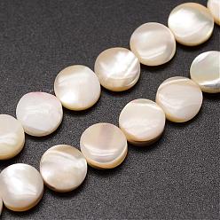 Blanched Almond Natural Trochid Shell/Trochus Shell Beads Strands, Flat Round, Blanched Almond, 8x3~3.5mm, Hole: 1mm, about 51pcs/strand, 15.75 inch