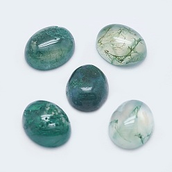 Moss Agate Natural Moss Agate Cabochons, Oval, 10x8x4mm