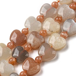 Moonstone Natural Moonstone Beads Strands, Apple, 9x10.5x5mm, Hole: 1mm, about 35pcs/strand, 15.47''~15.67'' (39.3~39.8cm)