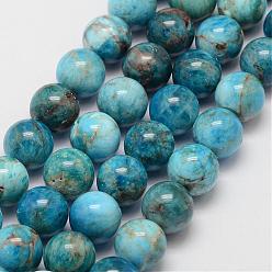 Apatite Natural Apatite Beads Strands, Round, 12mm, Hole: 1mm, about 34pcs/strand, 15.7 inch